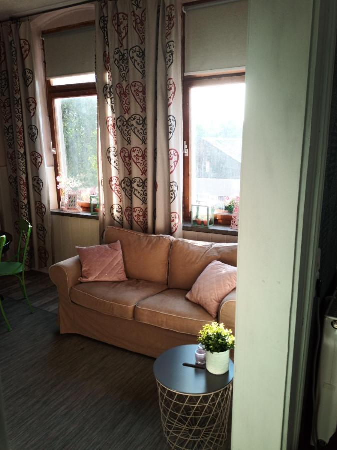 Bed and Breakfast Zur Friedrichsruh Oelsnitz  Exteriér fotografie
